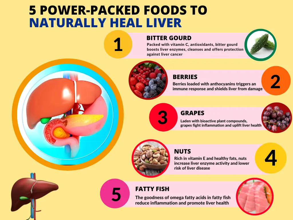 Best Foods for Liver Health