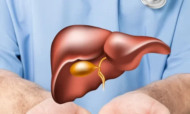 world-hepatitis-day-concept-doctor-hands-holding-liver-with-viral-infection-symbol